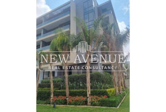 8386924 - صورة العقار 2