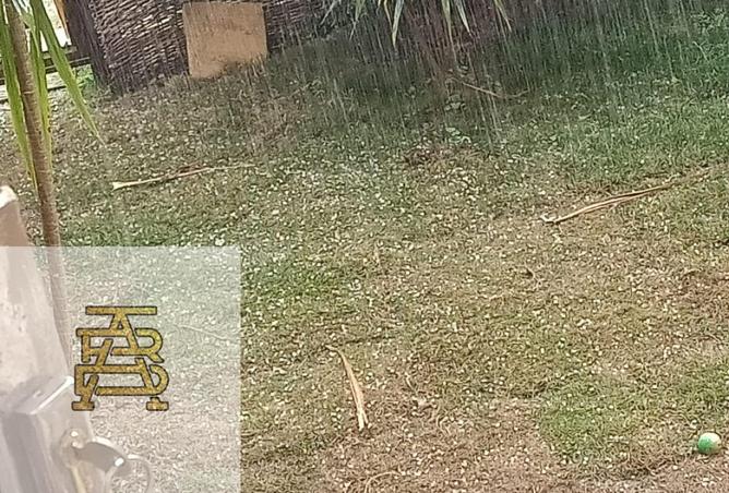 8388975 - صورة العقار 3