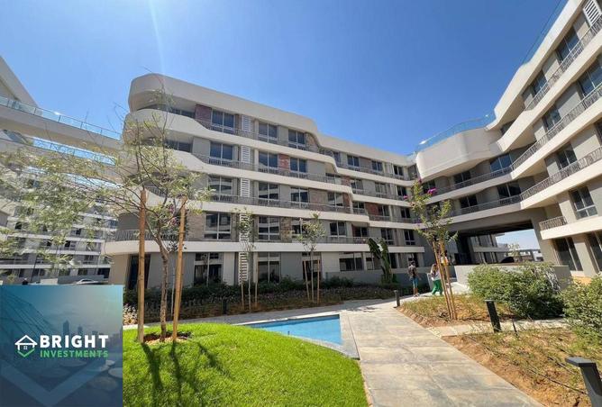 8386194 - Property Image 3