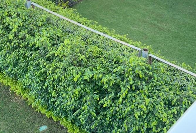 8387740 - صورة العقار 2