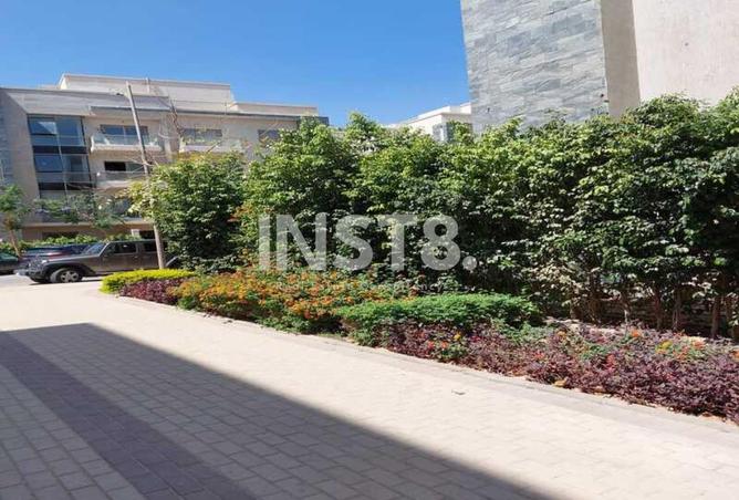 8386374 - Property Image 3