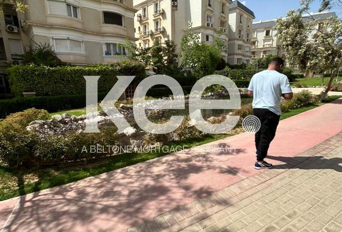 8387979 - Property Image 3