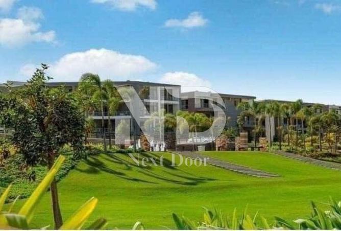 8386536 - Property Image 3