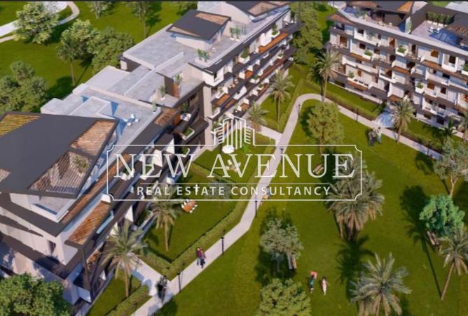 8386593 - Property Image 3