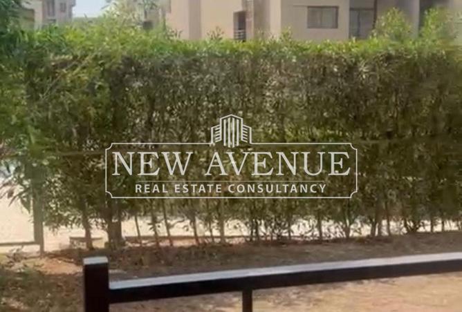 8386660 - صورة العقار 3