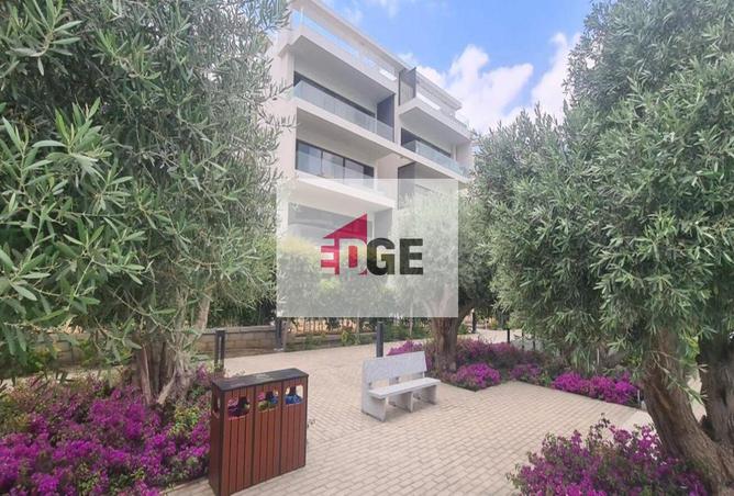 8392099 - صورة العقار 3