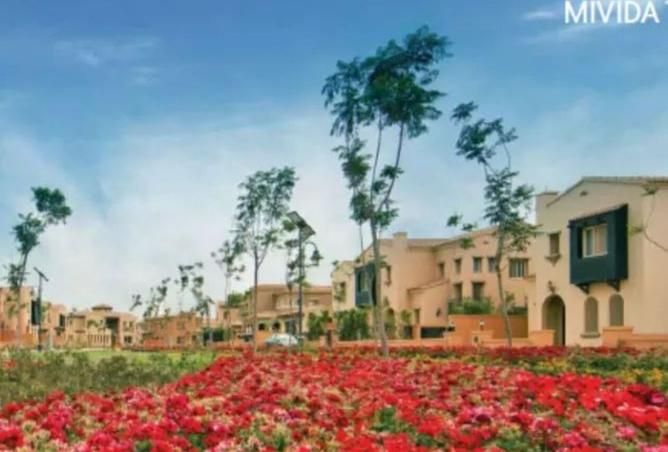 8386987 - Property Image 2