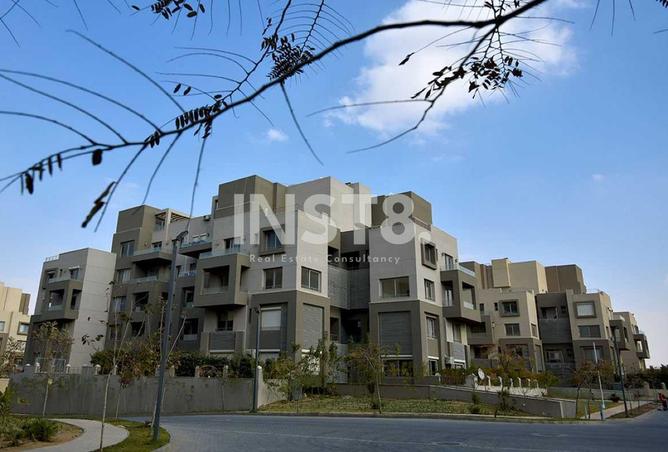 8387051 - Property Image 3