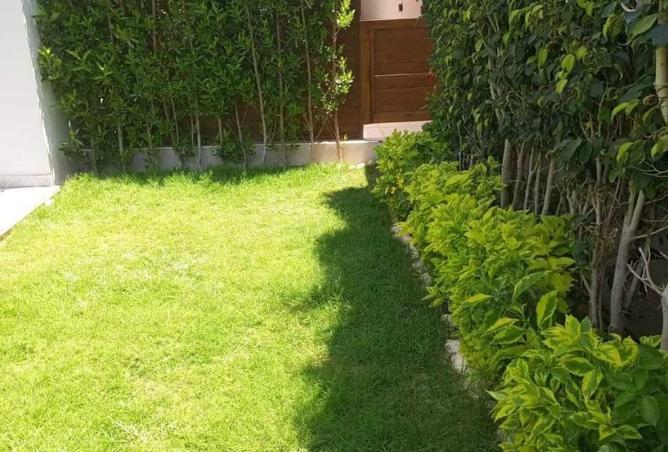 8403937 - صورة العقار 3