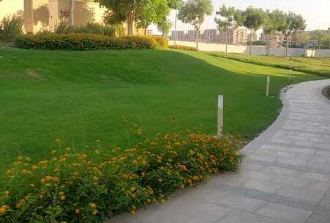 8387205 - Property Image 3