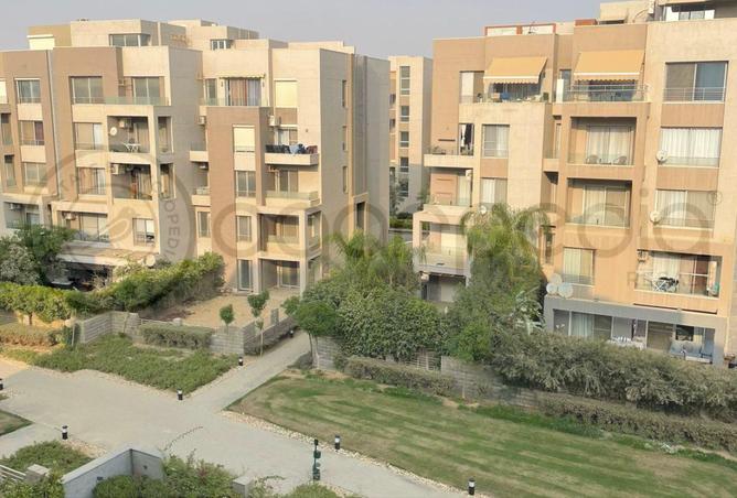 8387240 - Property Image 3