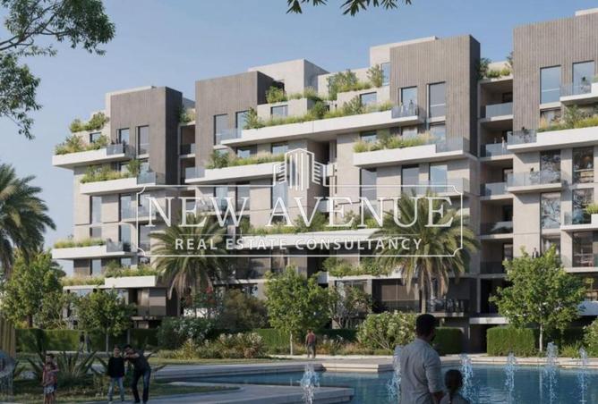 8387619 - Property Image 3