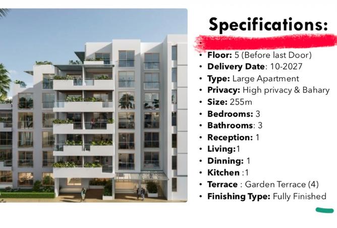 8388451 - Property Image 2