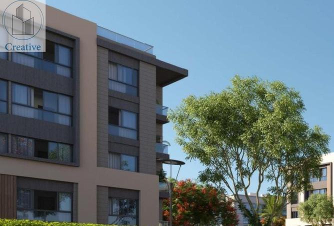 8393997 - صورة العقار 3