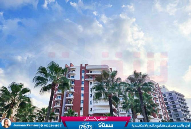 8388694 - صورة العقار 2