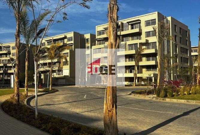 8390068 - صورة العقار 3