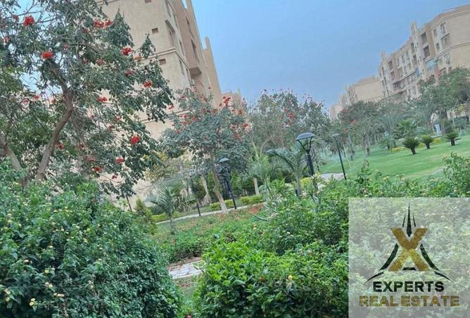 8396409 - صورة العقار 2