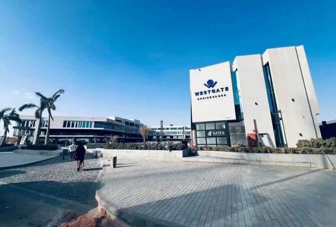 8391003 - صورة العقار 3