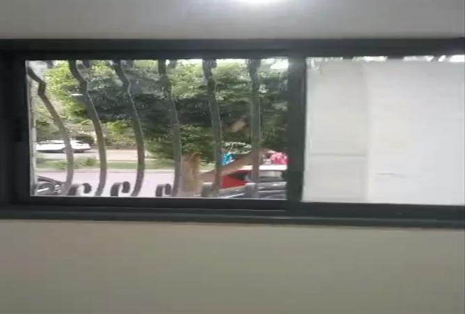 8389582 - صورة العقار 3