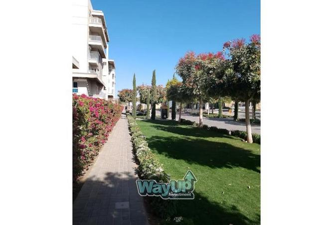 8396459 - صورة العقار 2