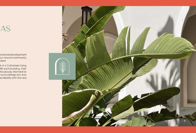 8391000 - صورة العقار 3