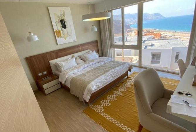 8391205 - Property Image 2