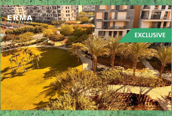 8390025 - Property Image 2