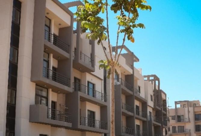 8390196 - صورة العقار 2