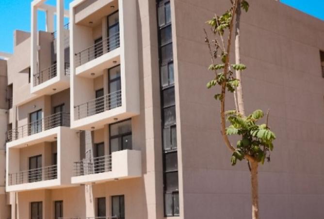 8390196 - صورة العقار 3