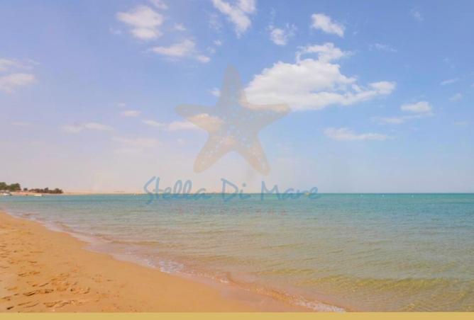 8391048 - صورة العقار 3