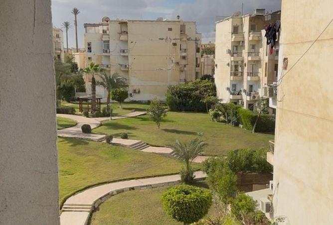 8395303 - Property Image 3