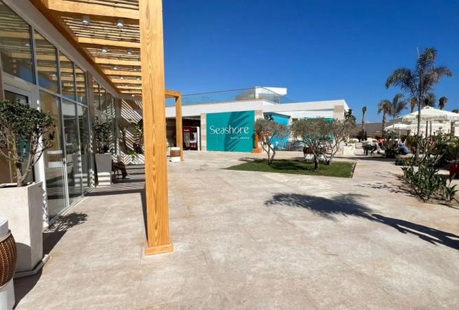 8391564 - Property Image 3