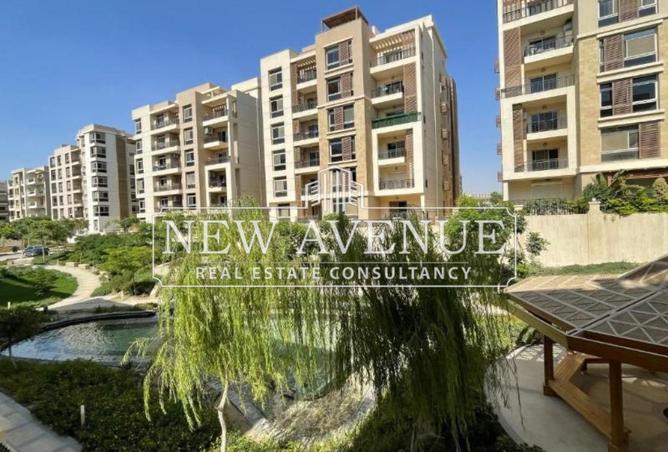 8404931 - Property Image 3