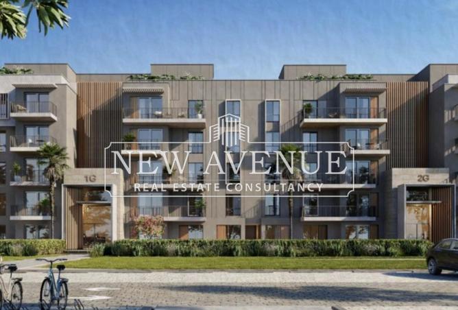 8392530 - Property Image 3