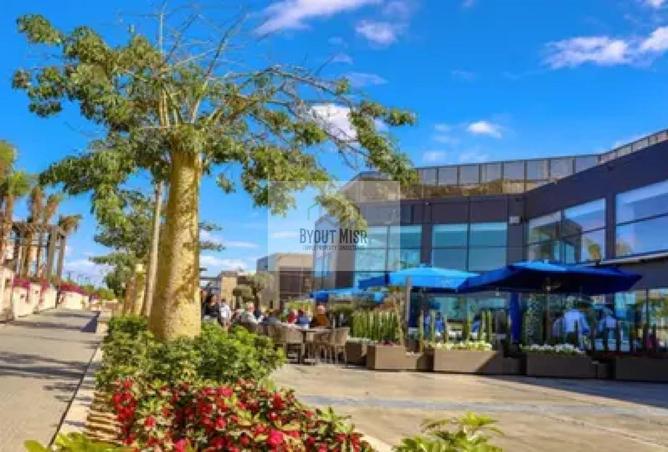 8392238 - Property Image 3