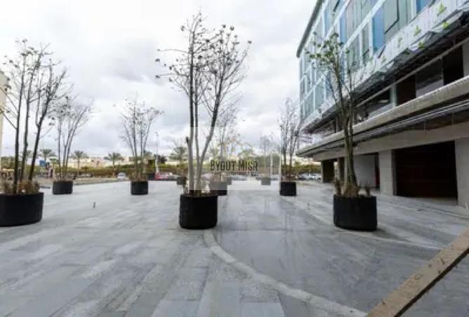 8392243 - الصورة الرئيسية للعقار