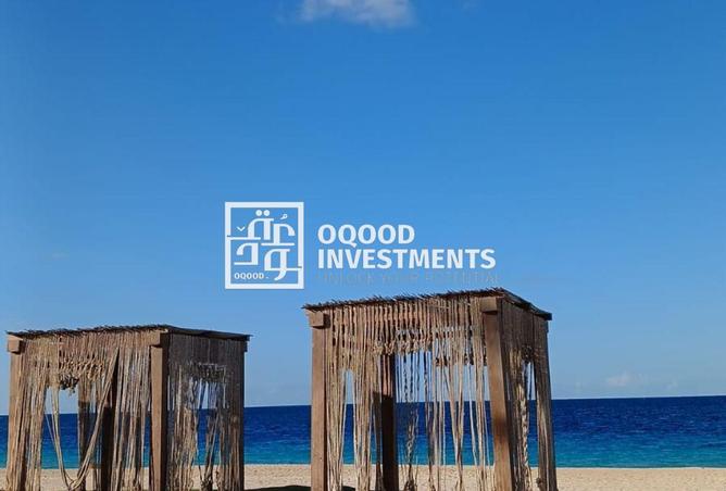 8392595 - Property Image 2