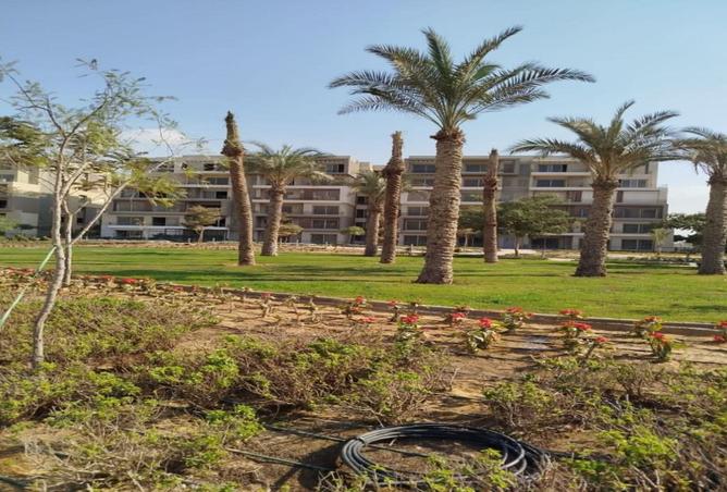 8392669 - صورة العقار 3