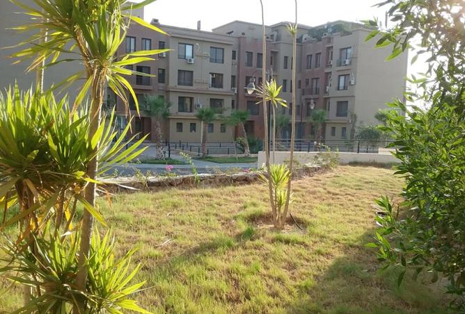 8393148 - الصورة الرئيسية للعقار