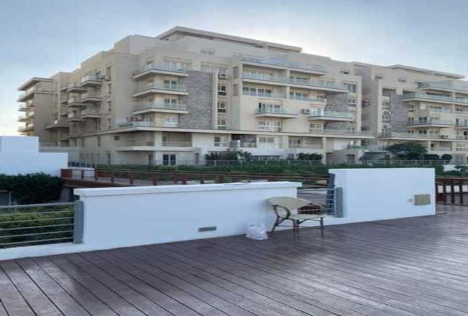 8393186 - الصورة الرئيسية للعقار