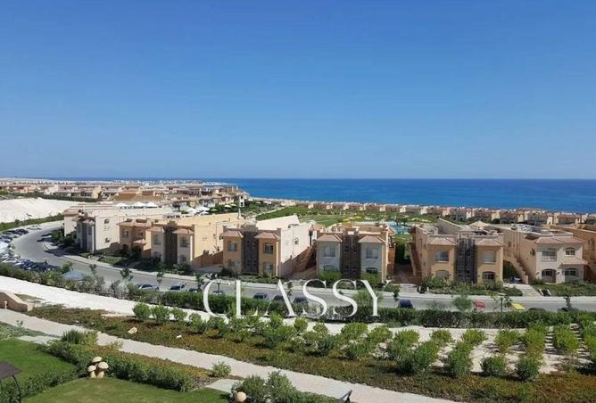 8393333 - صورة العقار 3