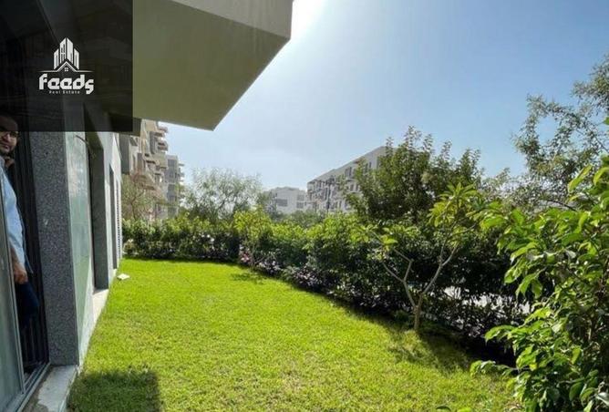 8393242 - صورة العقار 3