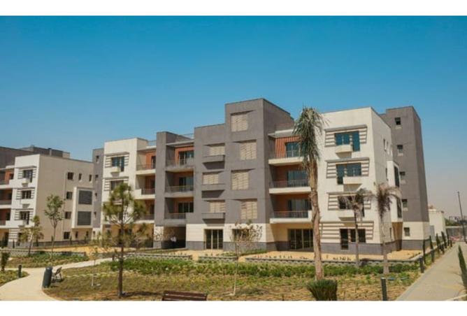 8393303 - صورة العقار 2