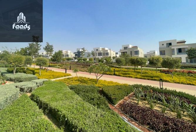 8393511 - صورة العقار 2