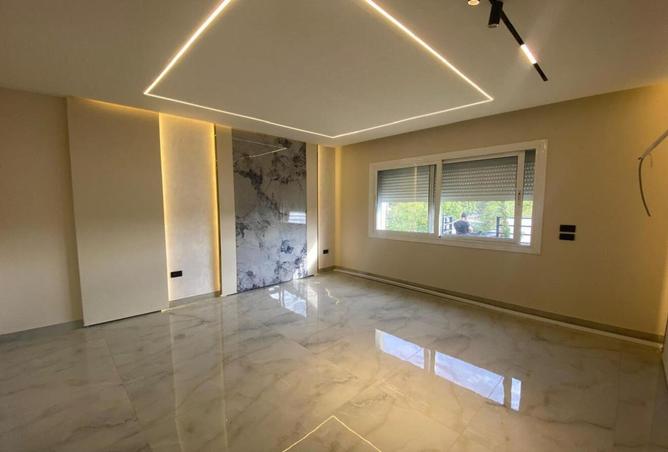 8393607 - Property Image 3