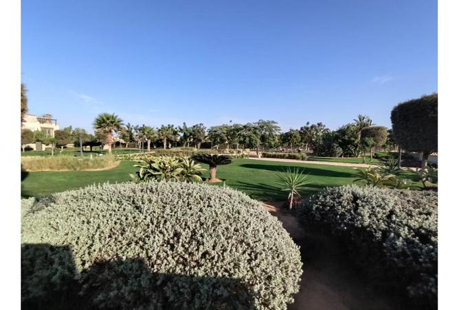 8393655 - Property Image 3