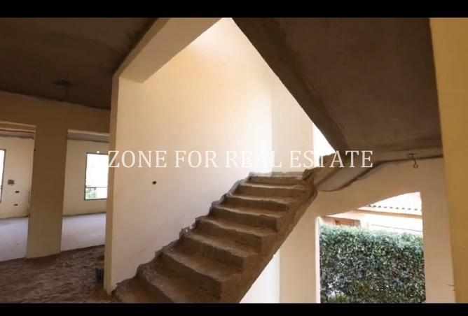 8393897 - صورة العقار 2