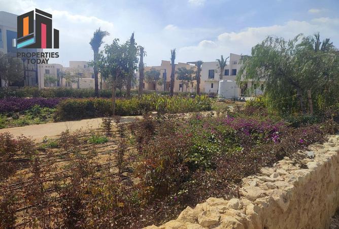 8394260 - Property Image 2