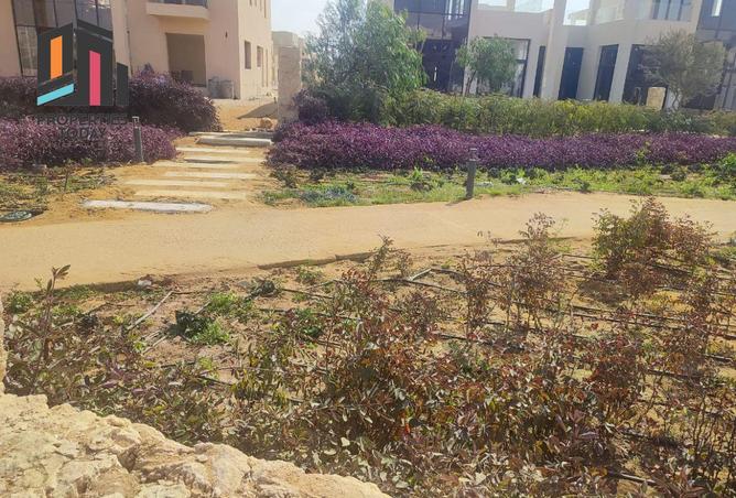 8394260 - Property Image 3