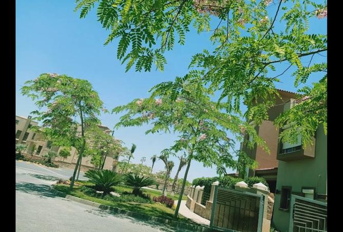 8403921 - صورة العقار 3